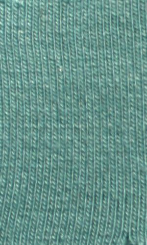 Blue Sage